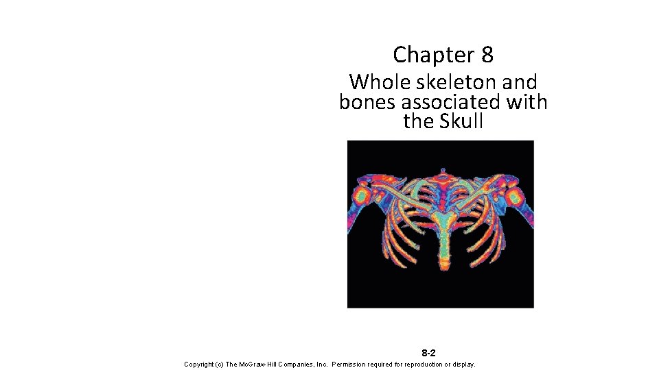 Chapter 8 Whole skeleton and bones associated with the Skull 8 -2 Copyright (c)