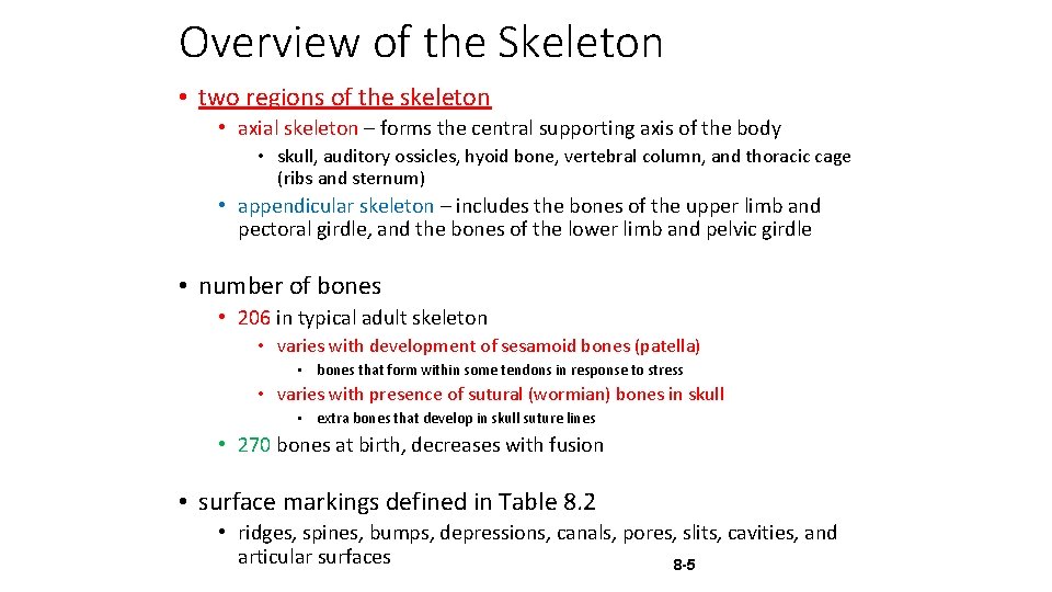 Overview of the Skeleton • two regions of the skeleton • axial skeleton –