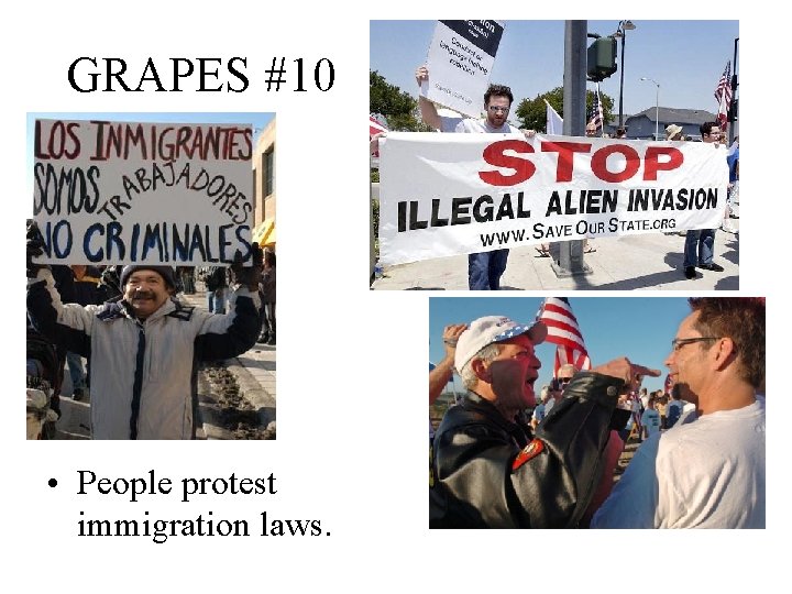 GRAPES #10 • People protest immigration laws. 