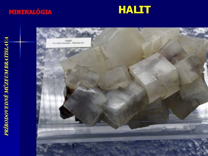 PRÍRODOVEDNÉ MÚZEUM BRATISLAVA MINERALÓGIA HALIT 
