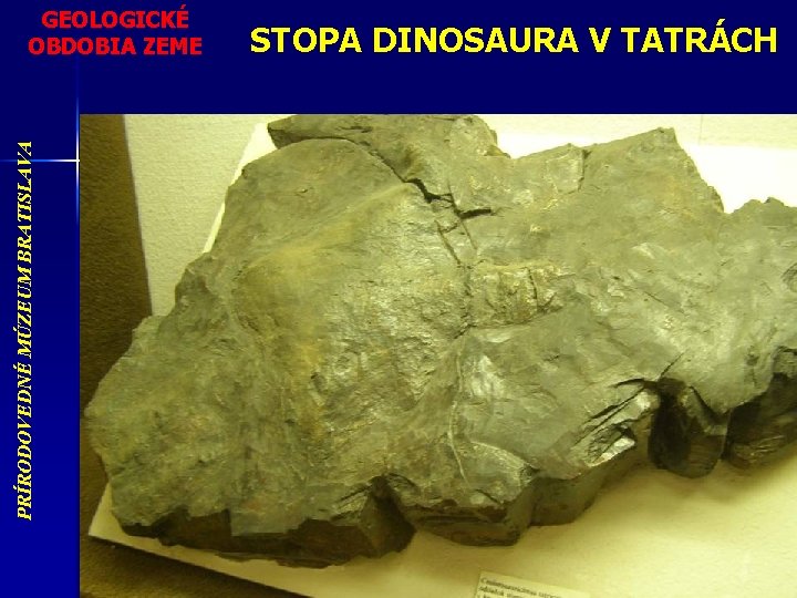 PRÍRODOVEDNÉ MÚZEUM BRATISLAVA GEOLOGICKÉ OBDOBIA ZEME STOPA DINOSAURA V TATRÁCH 