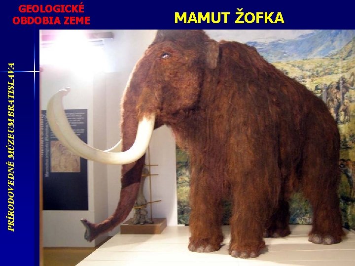 PRÍRODOVEDNÉ MÚZEUM BRATISLAVA GEOLOGICKÉ OBDOBIA ZEME MAMUT ŽOFKA 