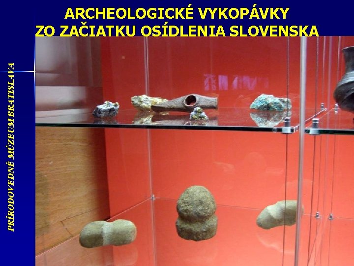 PRÍRODOVEDNÉ MÚZEUM BRATISLAVA ARCHEOLOGICKÉ VYKOPÁVKY ZO ZAČIATKU OSÍDLENIA SLOVENSKA 