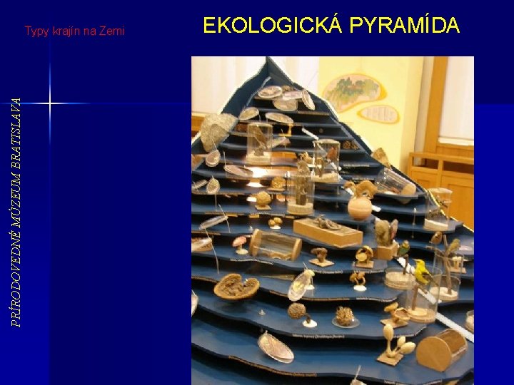 PRÍRODOVEDNÉ MÚZEUM BRATISLAVA Typy krajín na Zemi EKOLOGICKÁ PYRAMÍDA 