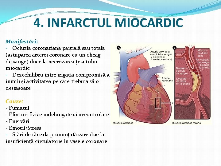 4. INFARCTUL MIOCARDIC Manifestări: - Ocluzia coronariană parţială sau totală (astuparea arterei coronare cu