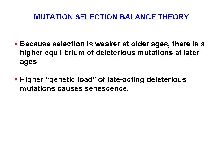 MUTATION SELECTION BALANCE THEORY § Because selection is weaker at older ages, there is