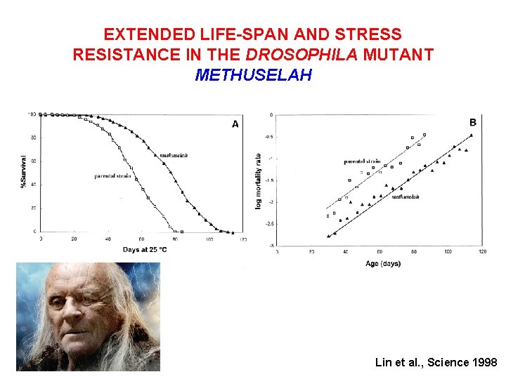 EXTENDED LIFE-SPAN AND STRESS RESISTANCE IN THE DROSOPHILA MUTANT METHUSELAH Lin et al. ,