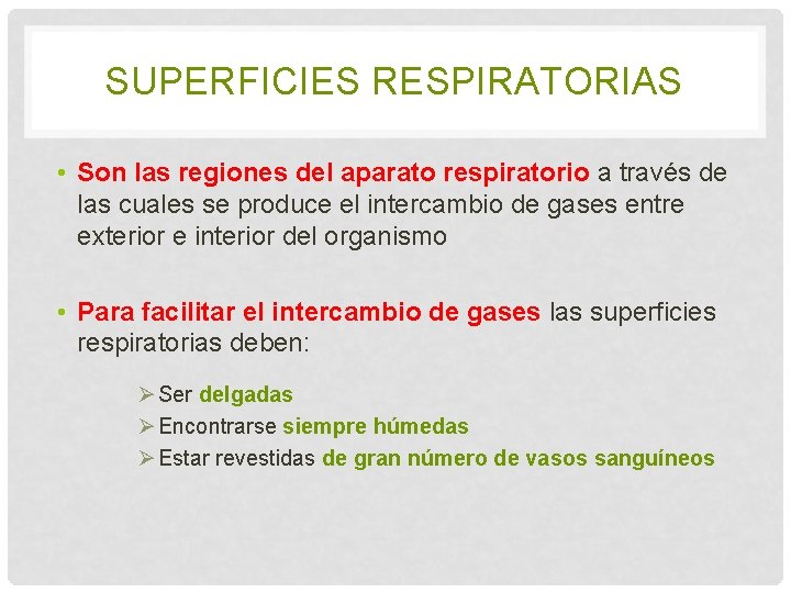 SUPERFICIES RESPIRATORIAS • Son las regiones del aparato respiratorio a través de las cuales