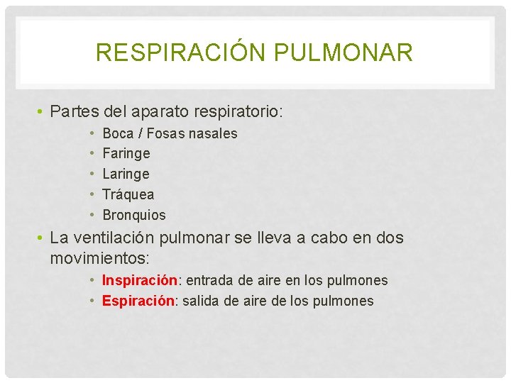 RESPIRACIÓN PULMONAR • Partes del aparato respiratorio: • • • Boca / Fosas nasales