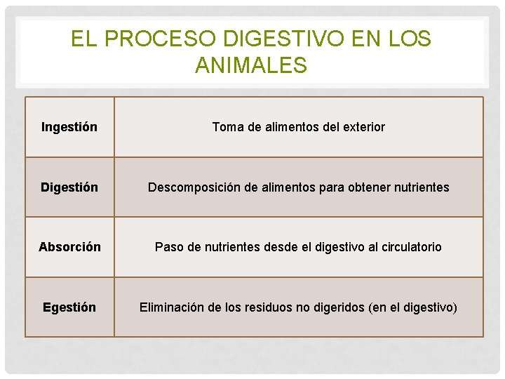 EL PROCESO DIGESTIVO EN LOS ANIMALES Ingestión Toma de alimentos del exterior Digestión Descomposición