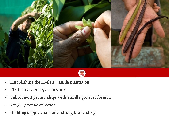  • Establishing the Heilala Vanilla plantation • First harvest of 45 kgs in