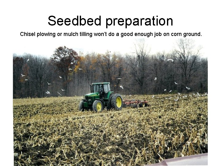 Seedbed preparation Chisel plowing or mulch tilling won’t do a good enough job on