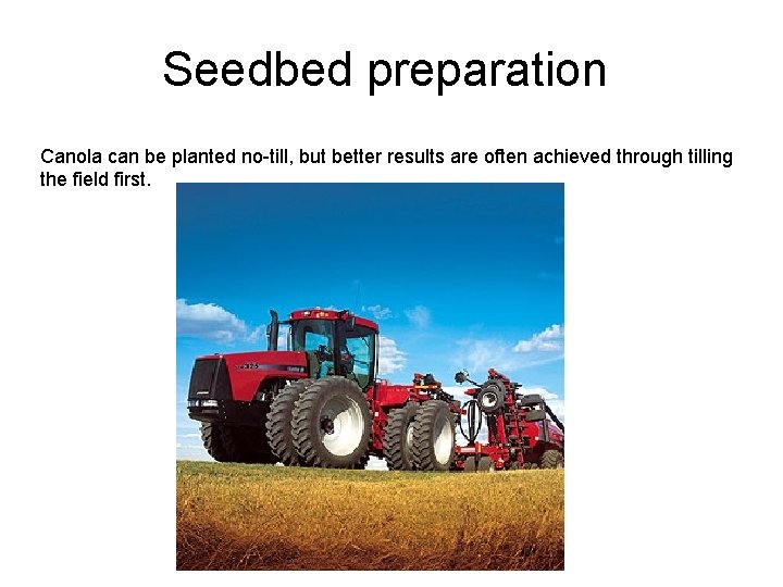 Seedbed preparation Canola can be planted no-till, but better results are often achieved through