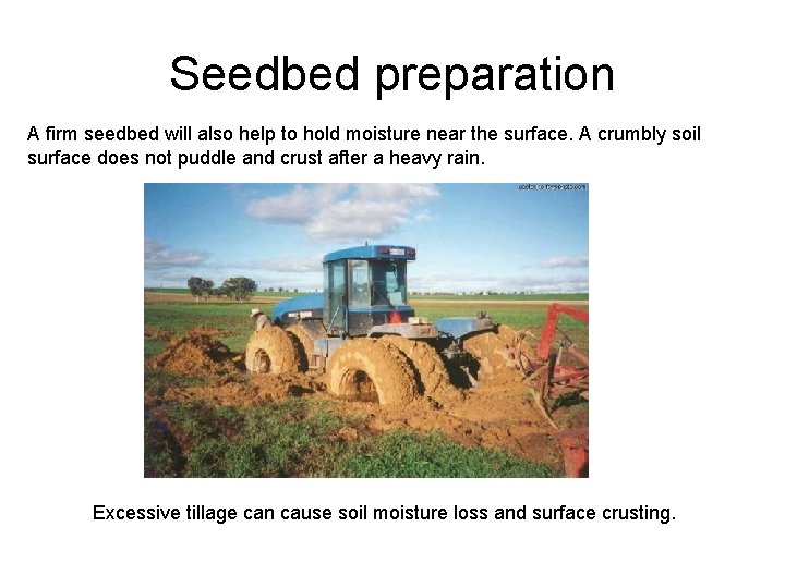 Seedbed preparation A firm seedbed will also help to hold moisture near the surface.