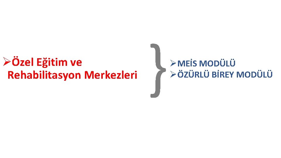 ØÖzel Eğitim ve Rehabilitasyon Merkezleri } ØMEİS MODÜLÜ ØÖZÜRLÜ BİREY MODÜLÜ 