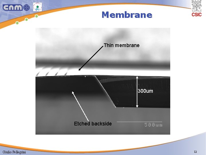 Membrane Thin membrane 300 um Etched backside Giulio Pellegrini 12 