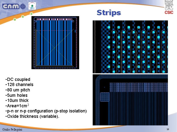 Strips • DC coupled • 128 channels • 80 um pitch • 5 um