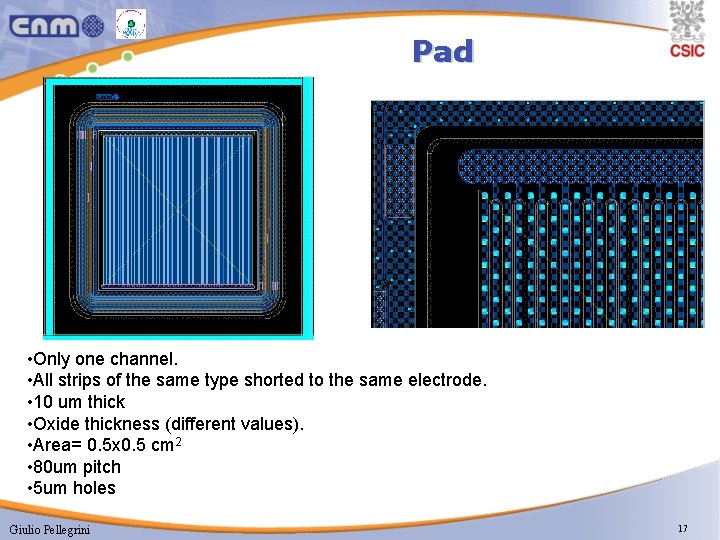 Pad • Only one channel. • All strips of the same type shorted to