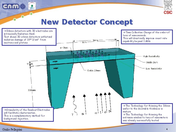 New Detector Concept àSilicon detectors with 3 D electrodes are intrinsically Radiation Hard. Test