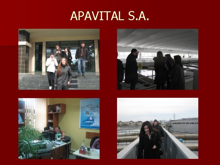 APAVITAL S. A. APAVITAL S. A.