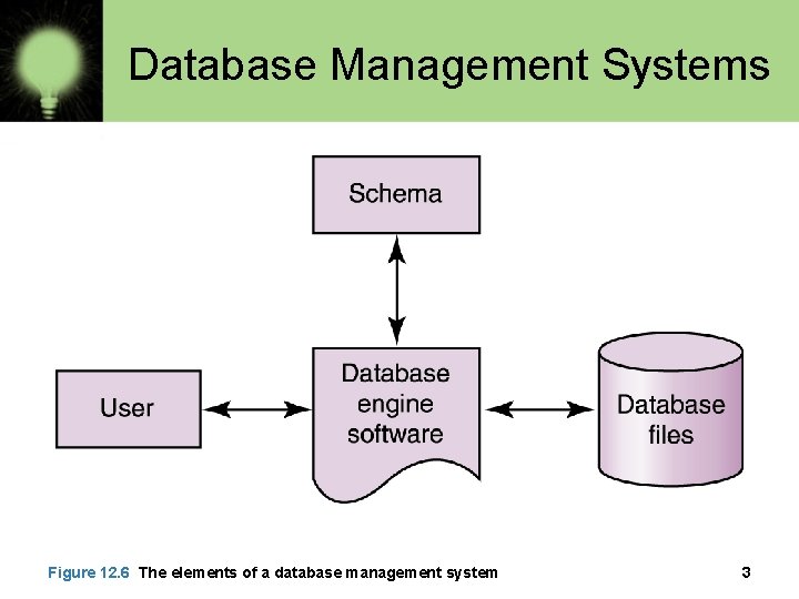 Database Management Systems Figure 12. 6 The elements of a database management system 3