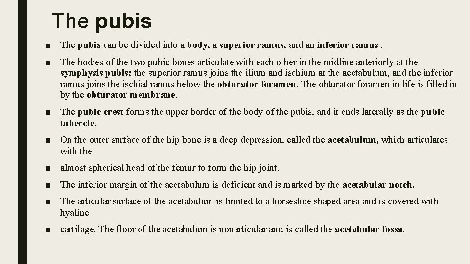 The pubis ■ The pubis can be divided into a body, a superior ramus,