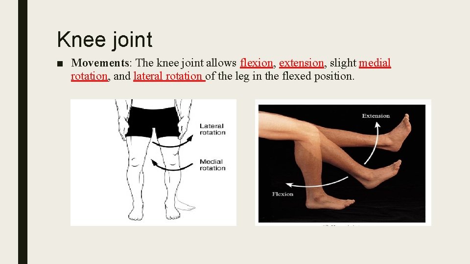 Knee joint ■ Movements: The knee joint allows flexion, extension, slight medial rotation, and