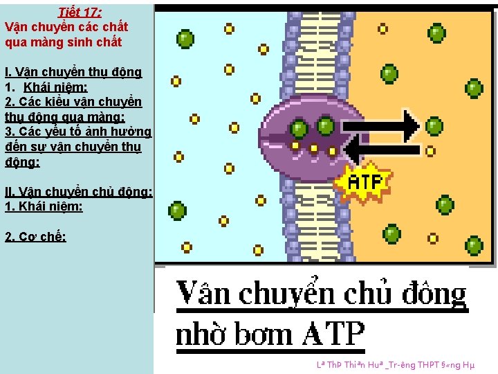 Tiết 17: Vận chuyển các chất qua màng sinh chất I. Vận chuyển thụ