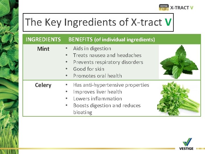 The Key Ingredients of X-tract V INGREDIENTS BENEFITS (of individual ingredients) Mint • •