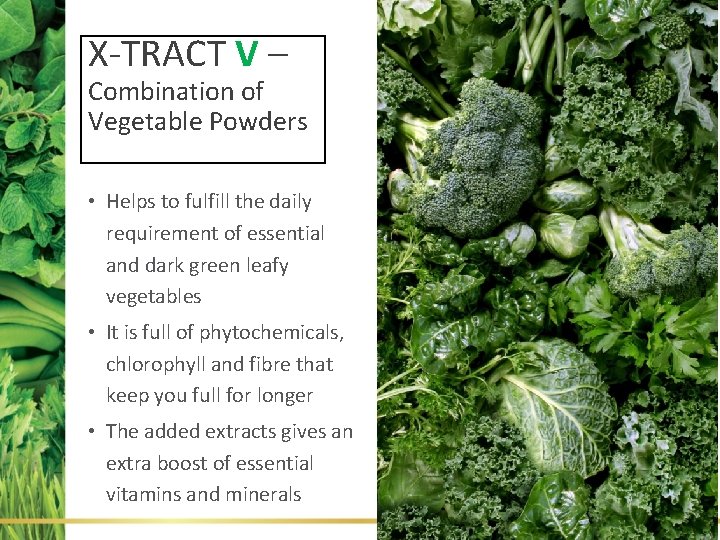 X-TRACT V – Combination of Vegetable Powders • Helps to fulfill the daily requirement