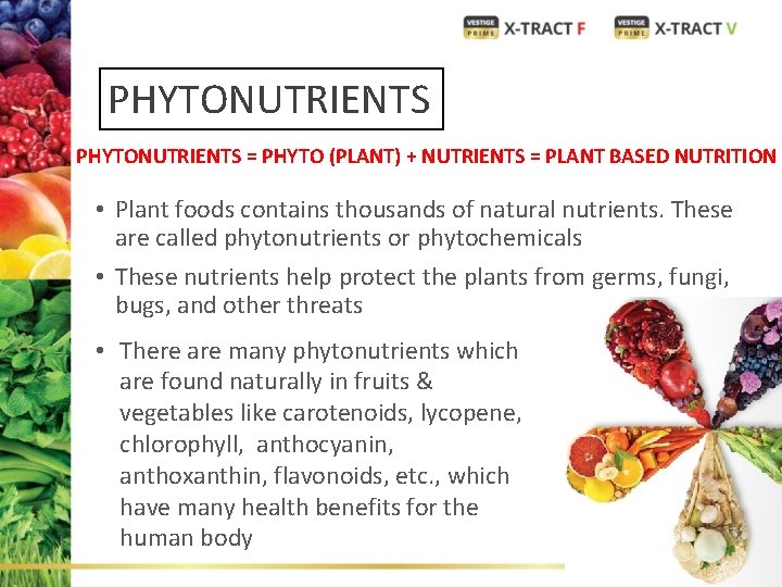 PHYTONUTRIENTS = PHYTO (PLANT) + NUTRIENTS = PLANT BASED NUTRITION • Plant foods contains