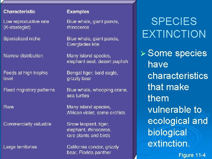 SPECIES EXTINCTION Ø Some species have characteristics that make them vulnerable to ecological and