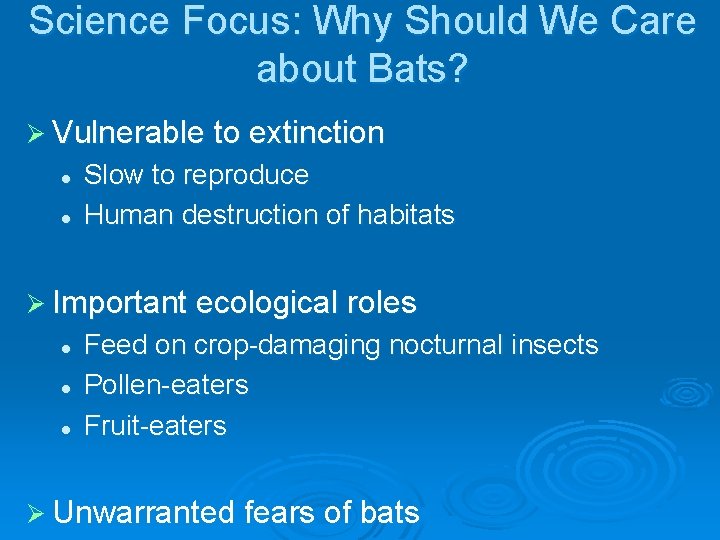 Science Focus: Why Should We Care about Bats? Ø Vulnerable to extinction l l