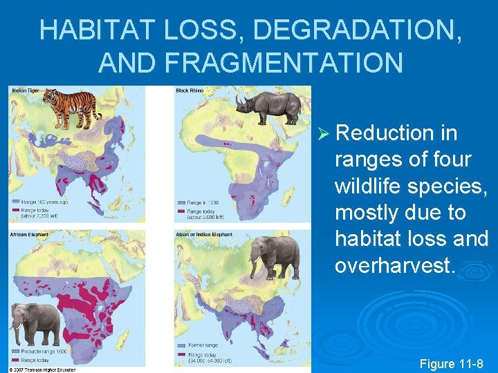 HABITAT LOSS, DEGRADATION, AND FRAGMENTATION Ø Reduction in ranges of four wildlife species, mostly