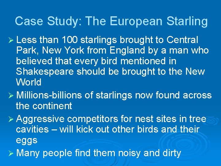 Case Study: The European Starling Ø Less than 100 starlings brought to Central Park,