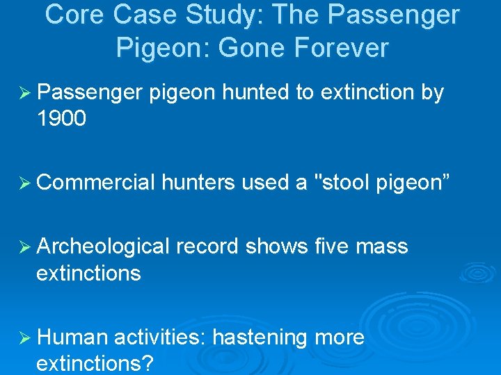 Core Case Study: The Passenger Pigeon: Gone Forever Ø Passenger pigeon hunted to extinction