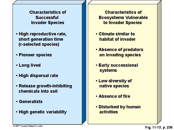 Characteristics of Successful Invader Species • High reproductive rate, short generation time (r-selected species)