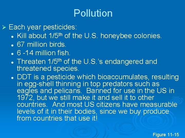 Pollution Ø Each year pesticides: th of the U. S. honeybee colonies. l Kill