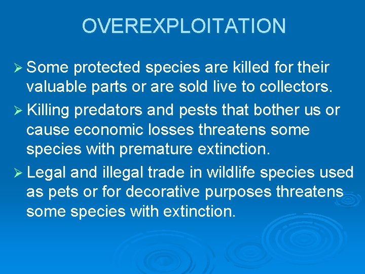 OVEREXPLOITATION Ø Some protected species are killed for their valuable parts or are sold
