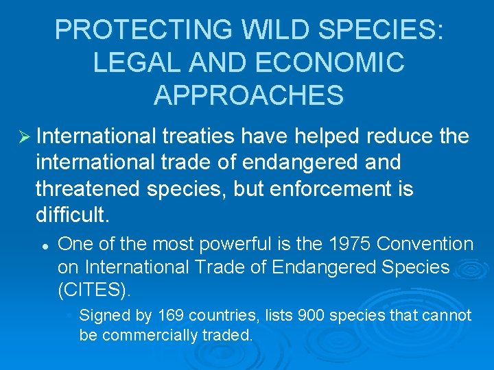 PROTECTING WILD SPECIES: LEGAL AND ECONOMIC APPROACHES Ø International treaties have helped reduce the