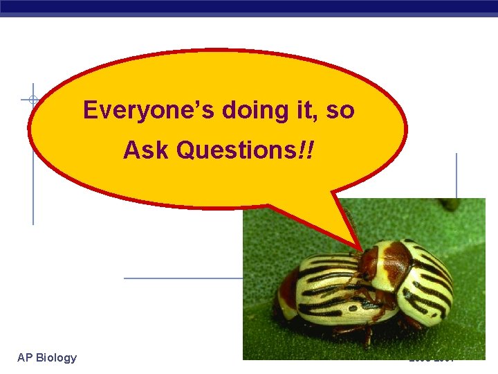 Everyone’s doing it, so Ask Questions!! AP Biology 2006 -2007 