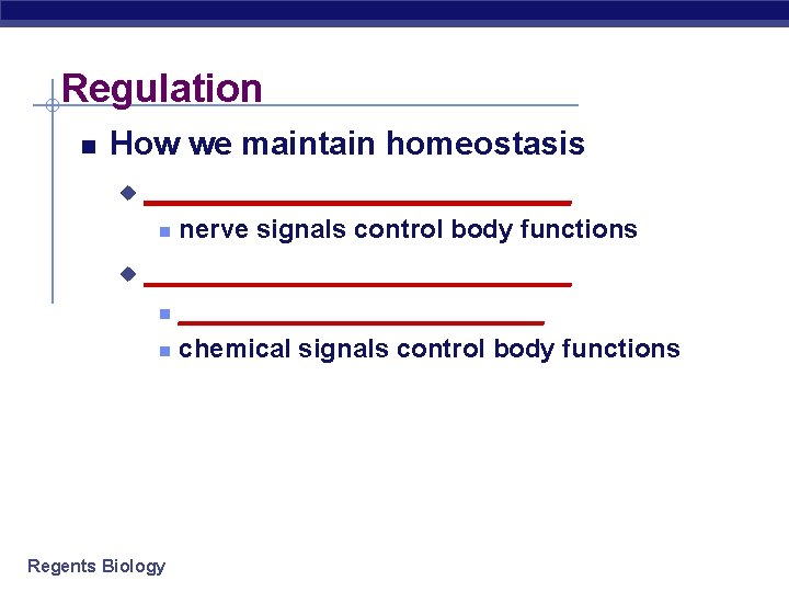 Regulation How we maintain homeostasis u _____________ u nerve signals control body functions _________________________