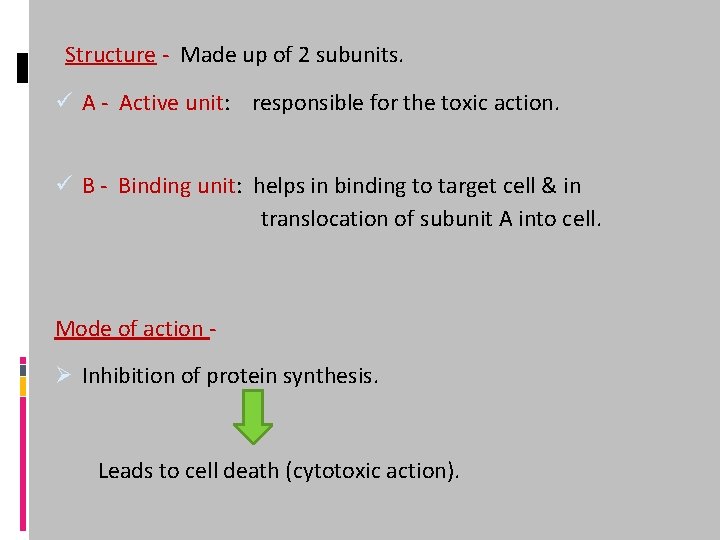 Structure - Made up of 2 subunits. ü A - Active unit: responsible for