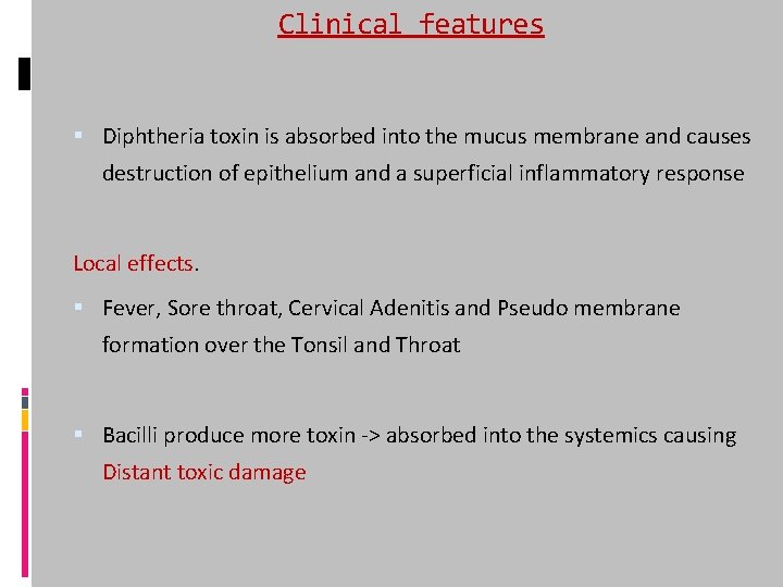 Clinical features Diphtheria toxin is absorbed into the mucus membrane and causes destruction of