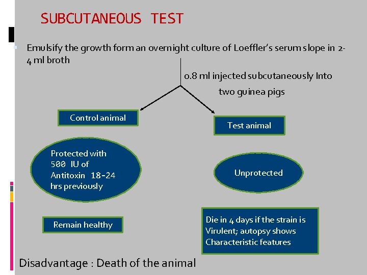 SUBCUTANEOUS TEST Emulsify the growth form an overnight culture of Loeffler’s serum slope in