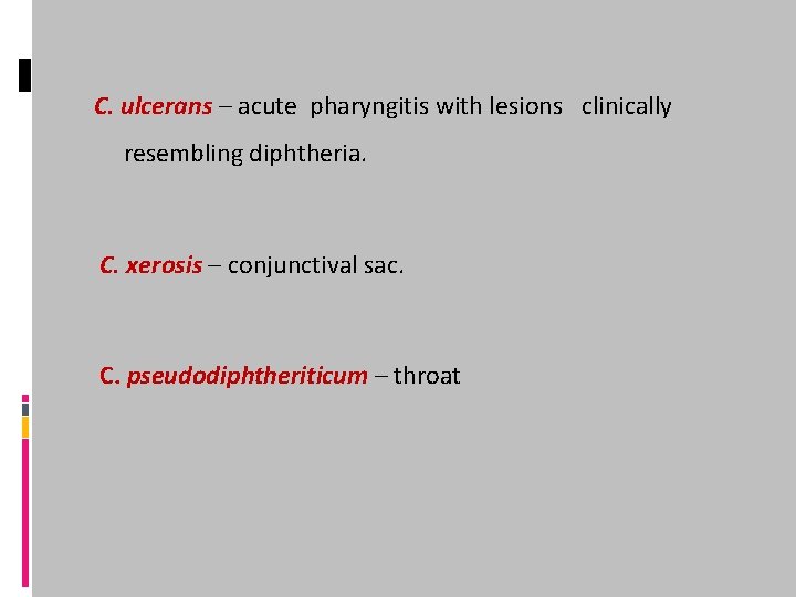 C. ulcerans – acute pharyngitis with lesions clinically resembling diphtheria. C. xerosis – conjunctival