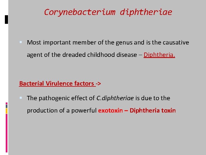 Corynebacterium diphtheriae Most important member of the genus and is the causative agent of