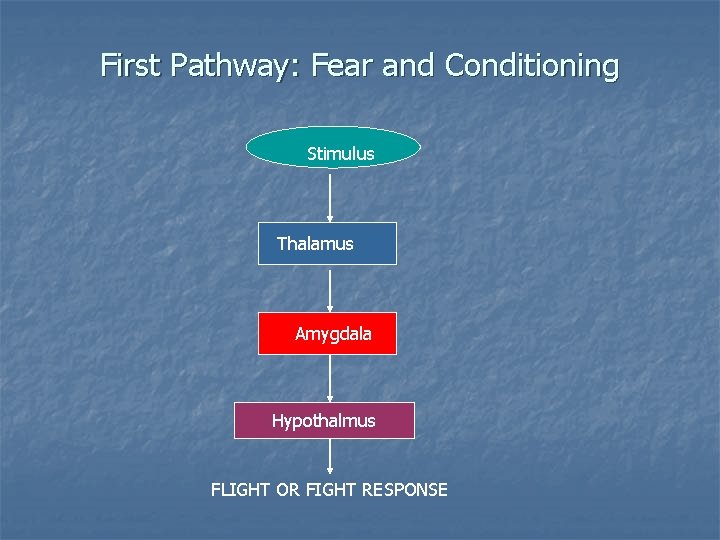 First Pathway: Fear and Conditioning Stimulus Thalamus Amygdala Hypothalmus FLIGHT OR FIGHT RESPONSE 