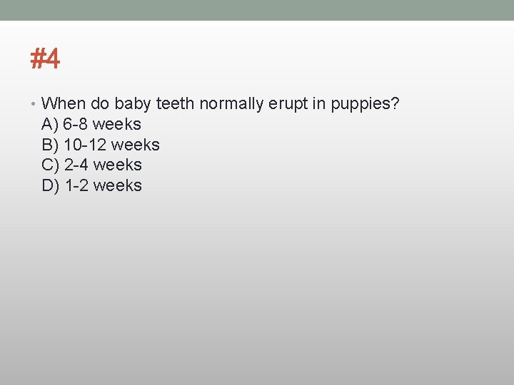 #4 • When do baby teeth normally erupt in puppies? A) 6 -8 weeks