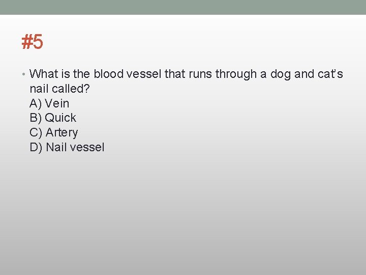#5 • What is the blood vessel that runs through a dog and cat’s